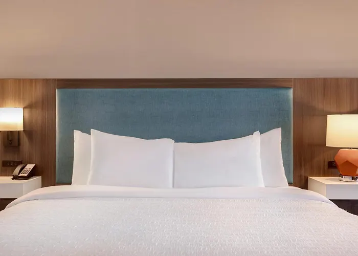 Hampton Chicago 3*