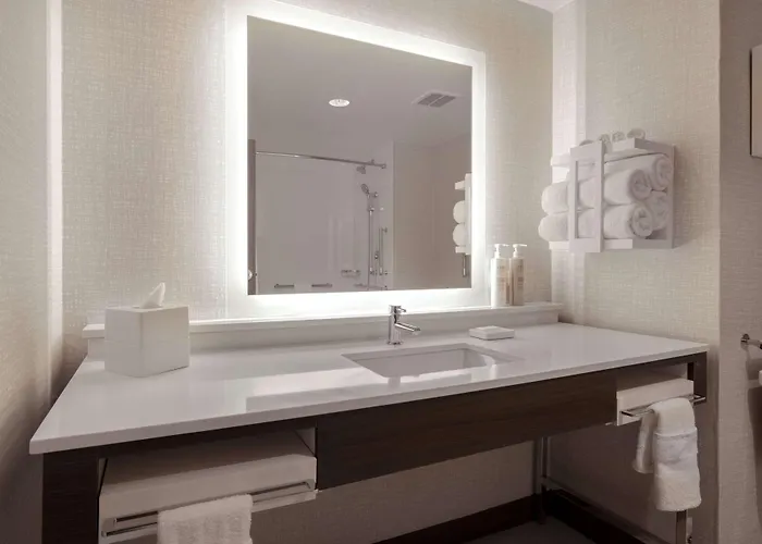 Hampton Chicago Hotel 3*