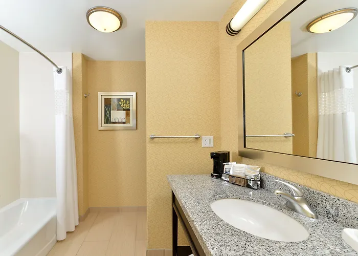 Hotel Hampton Chicago 3*